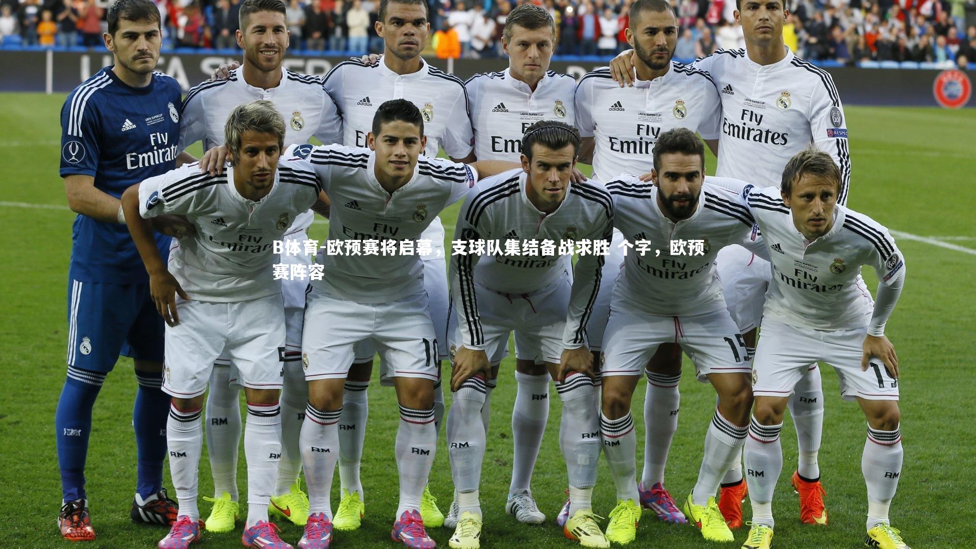 欧预赛将启幕,支球队集结备战求胜 个字,欧预赛阵容