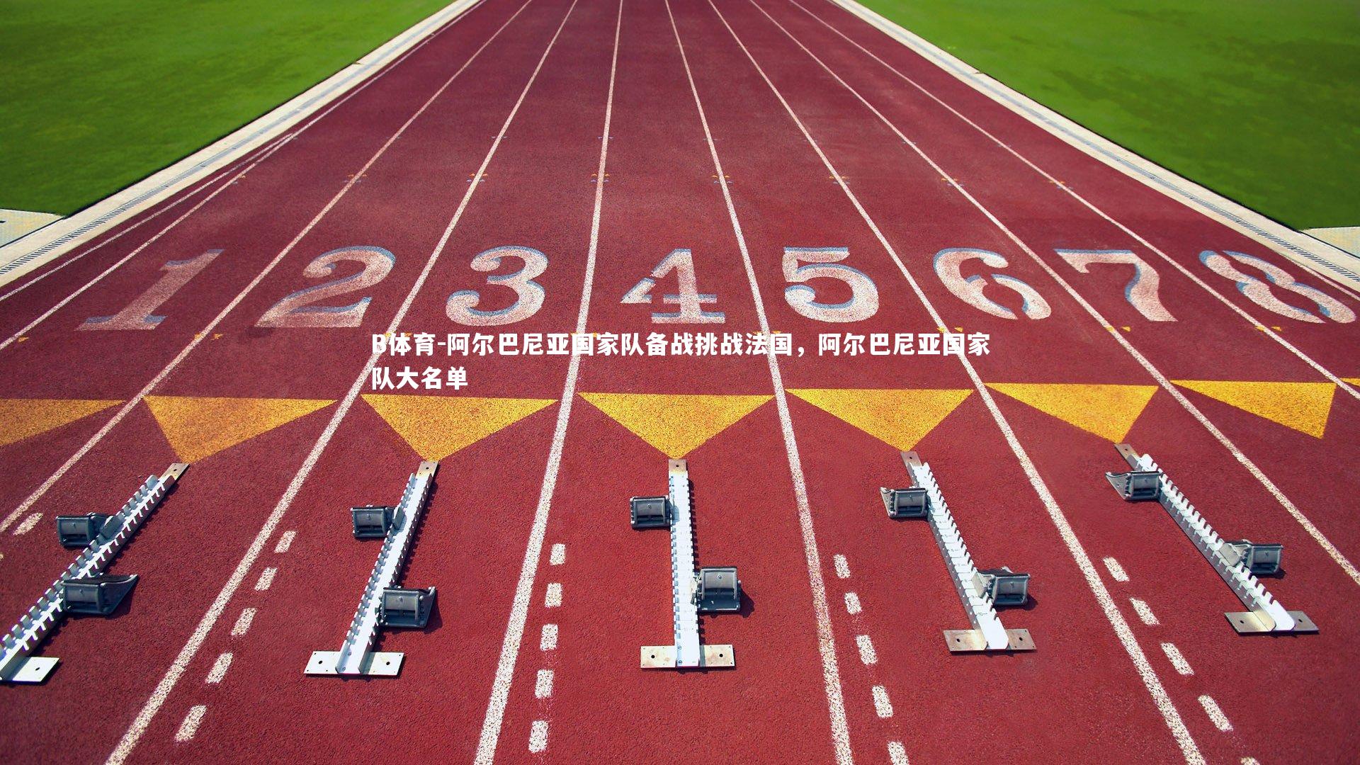 B体育-阿尔巴尼亚国家队备战挑战法国，阿尔巴尼亚国家队大名单