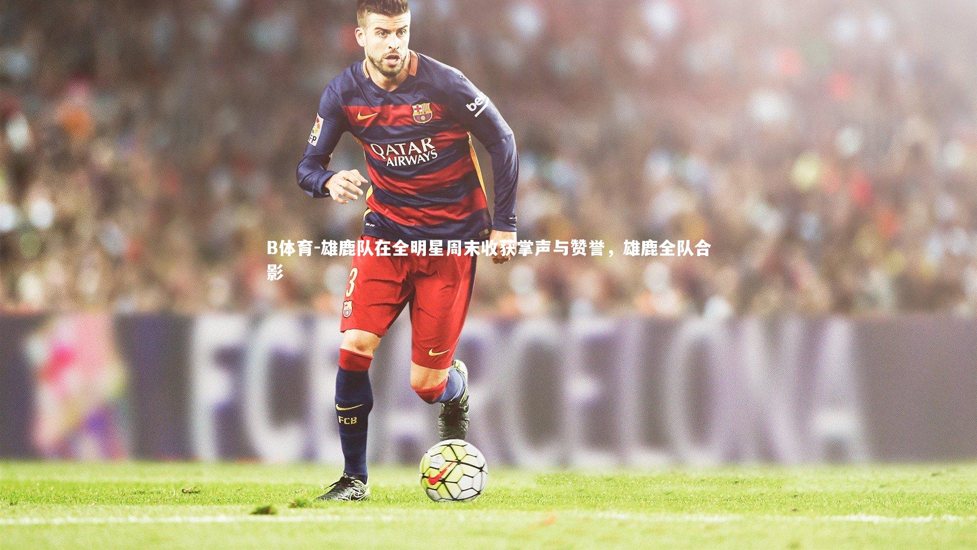 B体育-雄鹿队在全明星周末收获掌声与赞誉，雄鹿全队合影