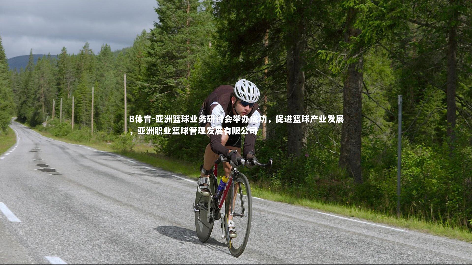 B体育-亚洲篮球业务研讨会举办成功，促进篮球产业发展，亚洲职业篮球管理发展有限公司