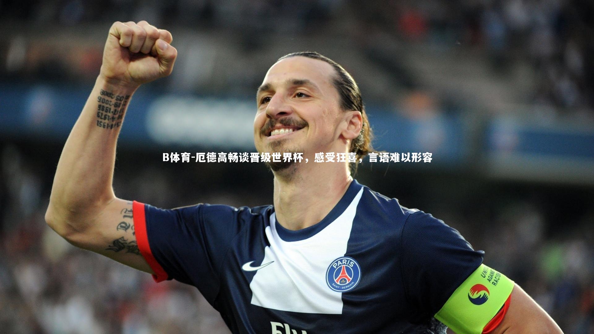 厄德高畅谈晋级世界杯，感受狂喜，言语难以形容